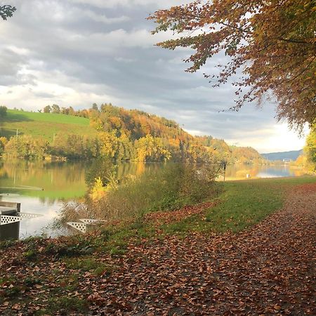 Charming Studio Near Rotsee Lucerne Kitchen/Wifi/Wasching Machine Zewnętrze zdjęcie