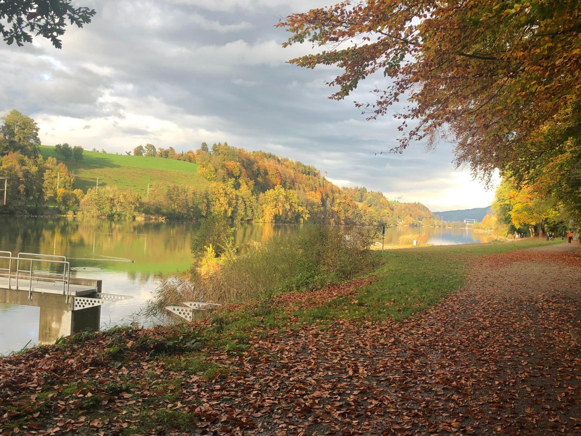 Charming Studio Near Rotsee Lucerne Kitchen/Wifi/Wasching Machine Zewnętrze zdjęcie