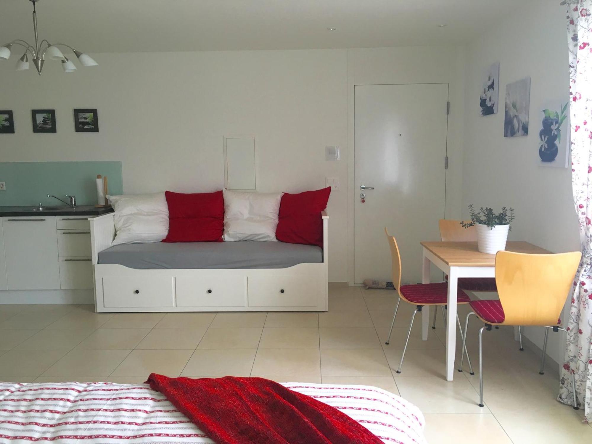Charming Studio Near Rotsee Lucerne Kitchen/Wifi/Wasching Machine Zewnętrze zdjęcie