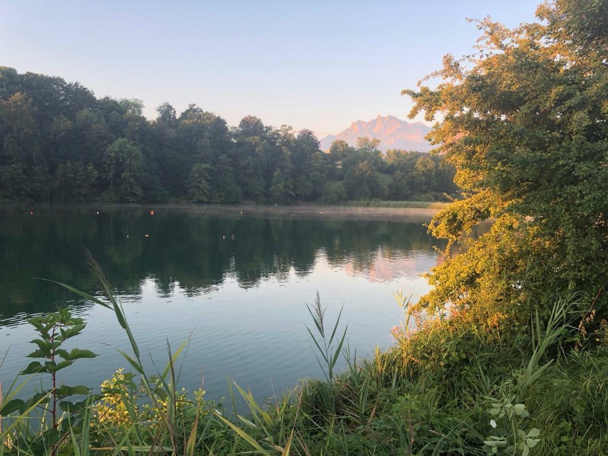 Charming Studio Near Rotsee Lucerne Kitchen/Wifi/Wasching Machine Zewnętrze zdjęcie
